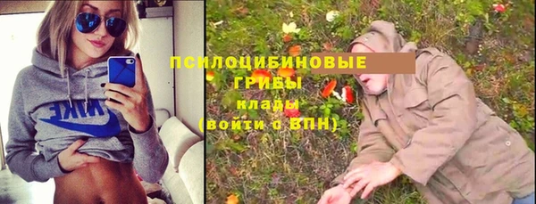 гидра Нязепетровск