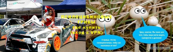 гидра Нязепетровск