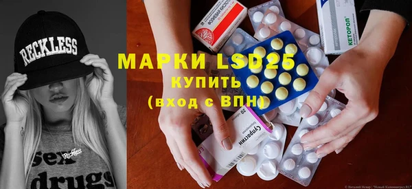ПСИЛОЦИБИНОВЫЕ ГРИБЫ Няндома