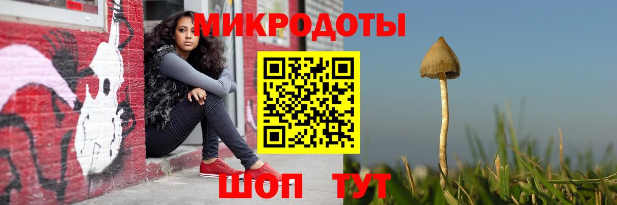 Советский  как найти закладки  Псилоцибиновые грибы GOLDEN TEACHER  Вход с VPN  Псилоцибиновые грибы MAGIC MUSHROOMS 