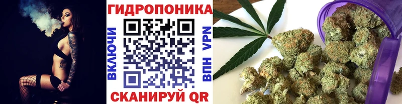 Шишки марихуана OG Kush  Советский 